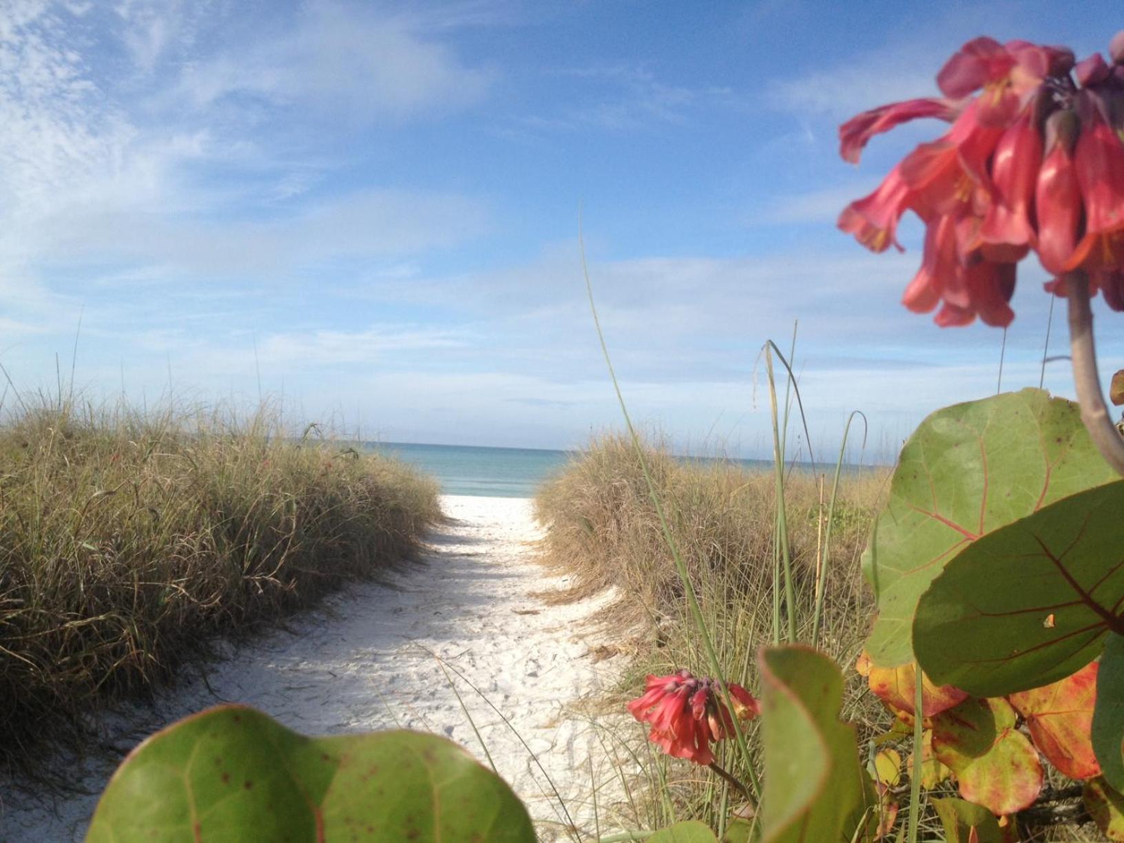 Siesta Key Inn Zewnętrze zdjęcie